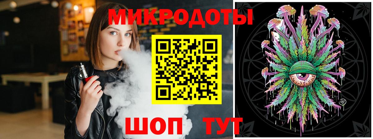 Галлюциногенные грибы Psilocybe Гусиноозёрск