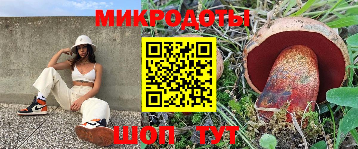 Гусиноозёрск  Псилоцибиновые грибы Psilocybe  Вход с VPN 